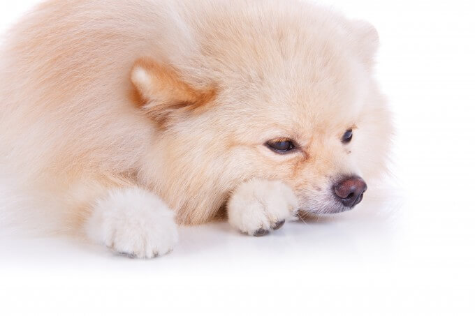 病気でぐったり・・
