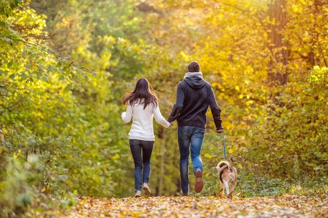 作業的なお散歩はやめて！愛犬が喜ぶお散歩とは【獣医師が解説