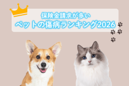 傷病ランキング
