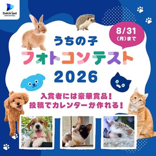 うちの子フォトコンテスト2026